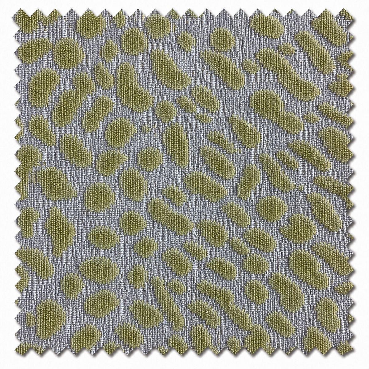 Olive Grove Leopard Swatch