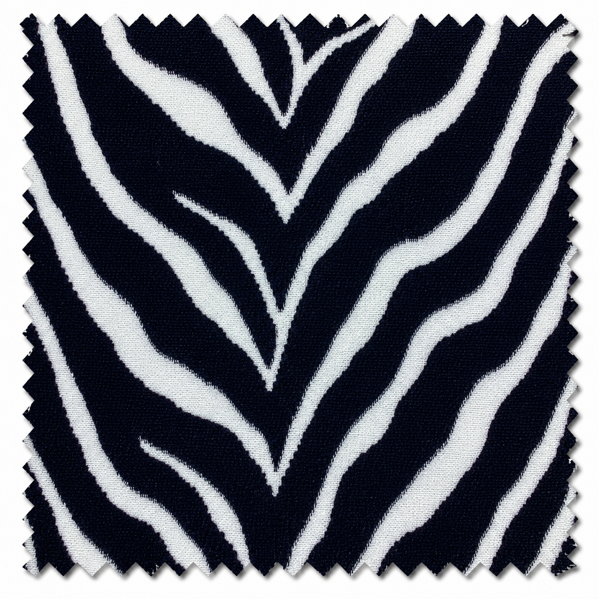 Black Ivory Zebra Swatch