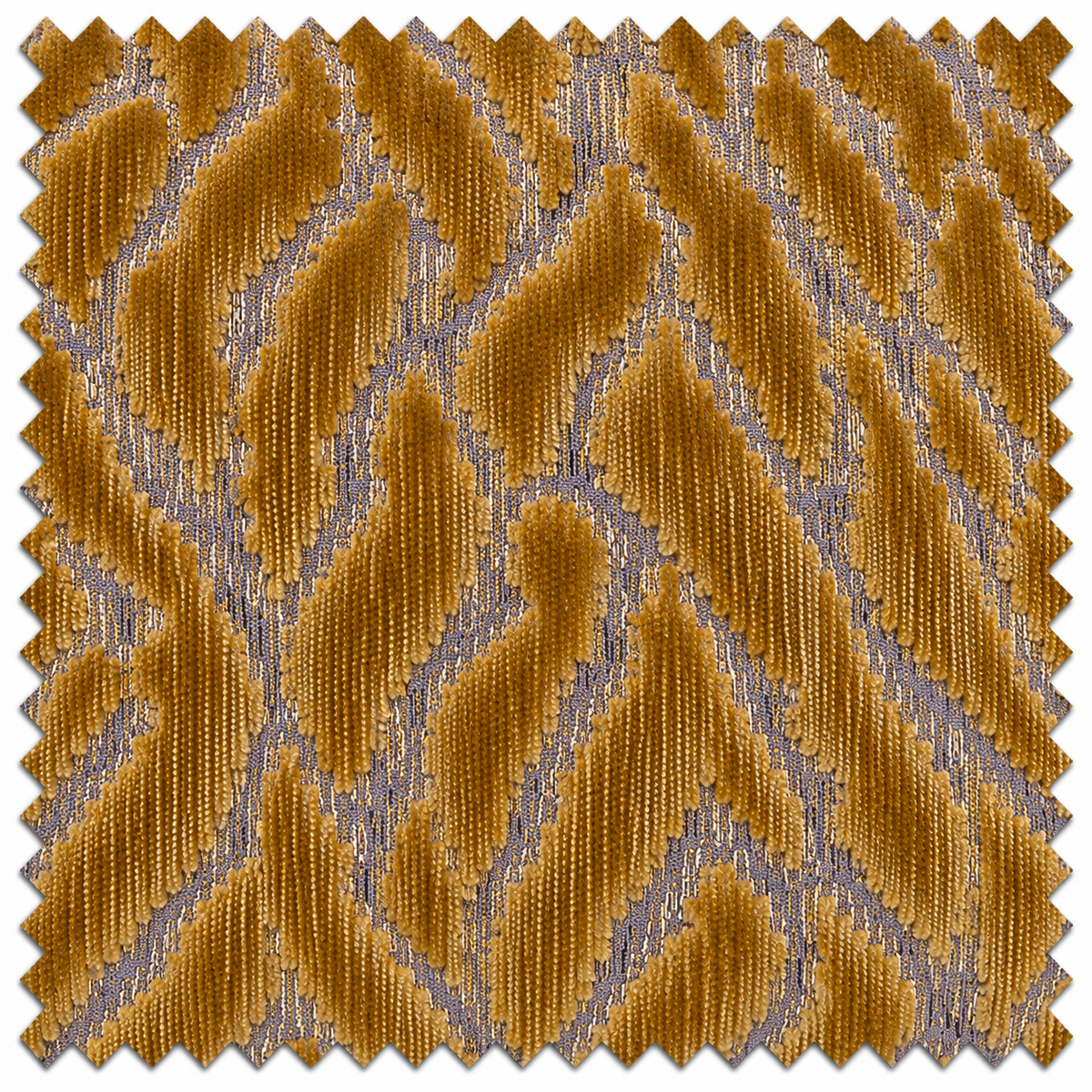 Golden Regal Safari Swatch